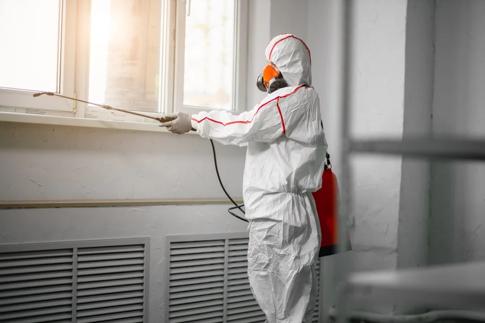 Professional mold remediation services in Danforth, ME
